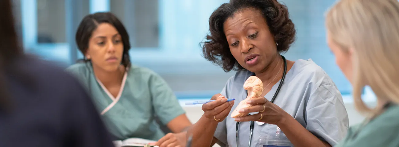 An advanced practice nurse reviewing the anatomy of a model organ with colleagues.